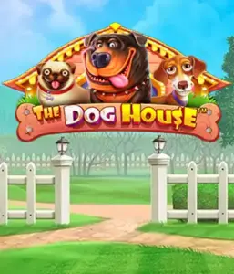 Pragmatic Play's The Dog House Slot, bringing you a fun-filled experience among playful pups. Discover gameplay elements including multipliers, designed for providing entertaining gameplay. Ideal for animal enthusiasts a lighthearted theme alongside lucrative rewards.