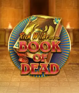 Dive into the thrilling world of Book of Dead by Play'n GO, presenting vivid graphics of Rich Wilde's journey through ancient Egyptian tombs and artifacts. Uncover lost riches with captivating mechanics like free spins, expanding symbols, and a gamble option. Ideal for adventure seekers with a desire for exciting finds.